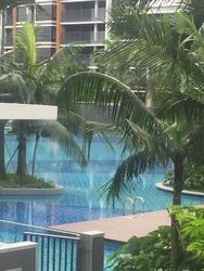 Coco Palms (D18), Condominium #167393972